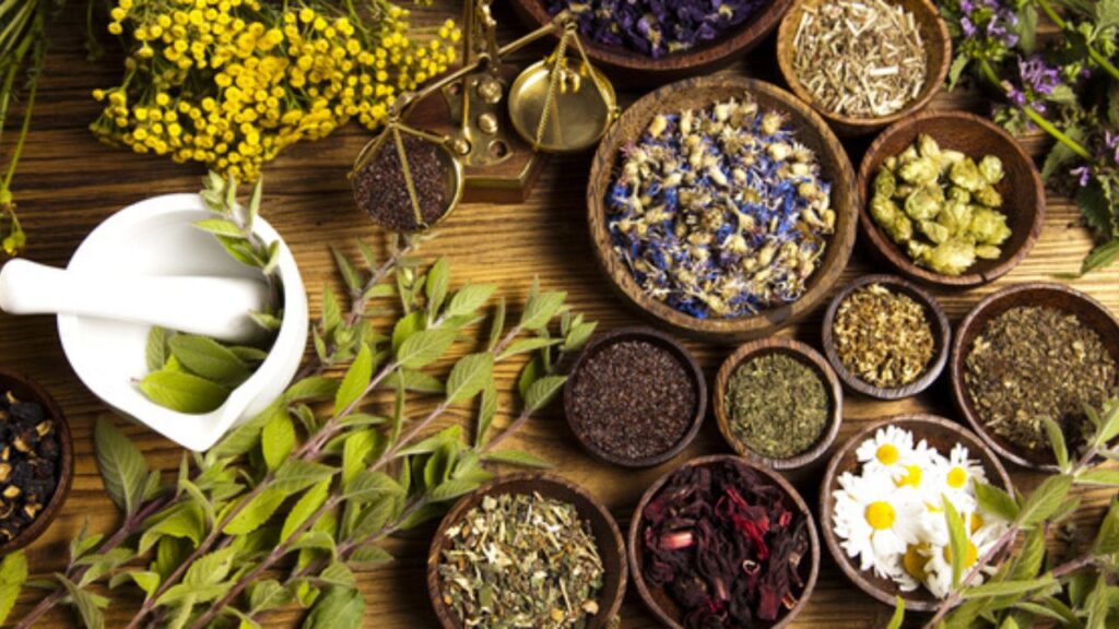 Ayurveda and Liver Health