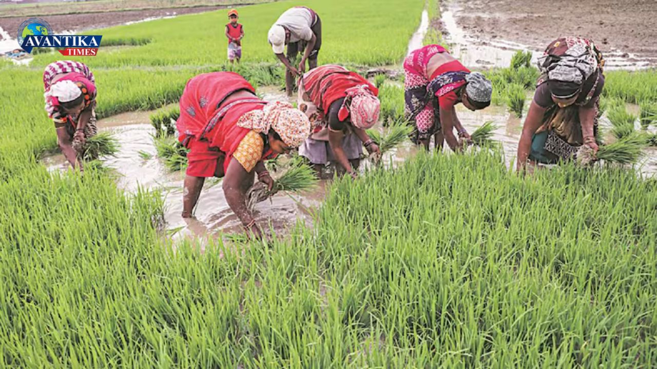 ग्रामीण अर्थव्यवस्था