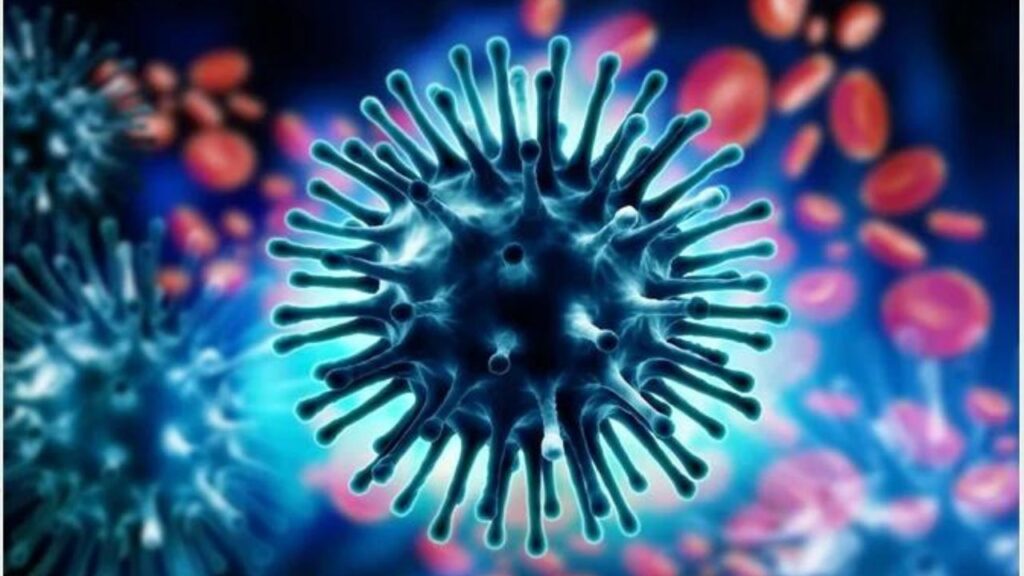 Swine flu