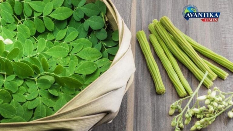 moringa benefits