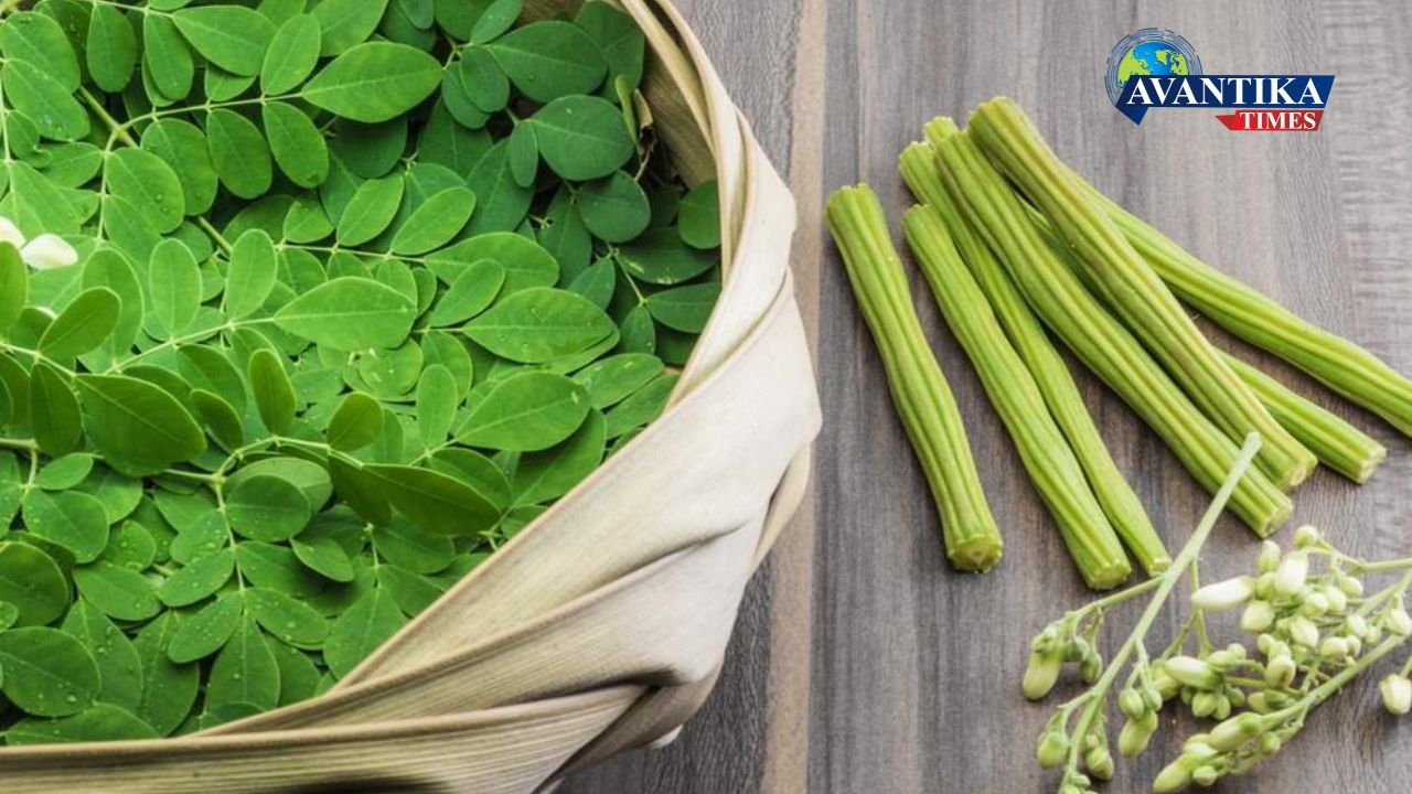 moringa benefits