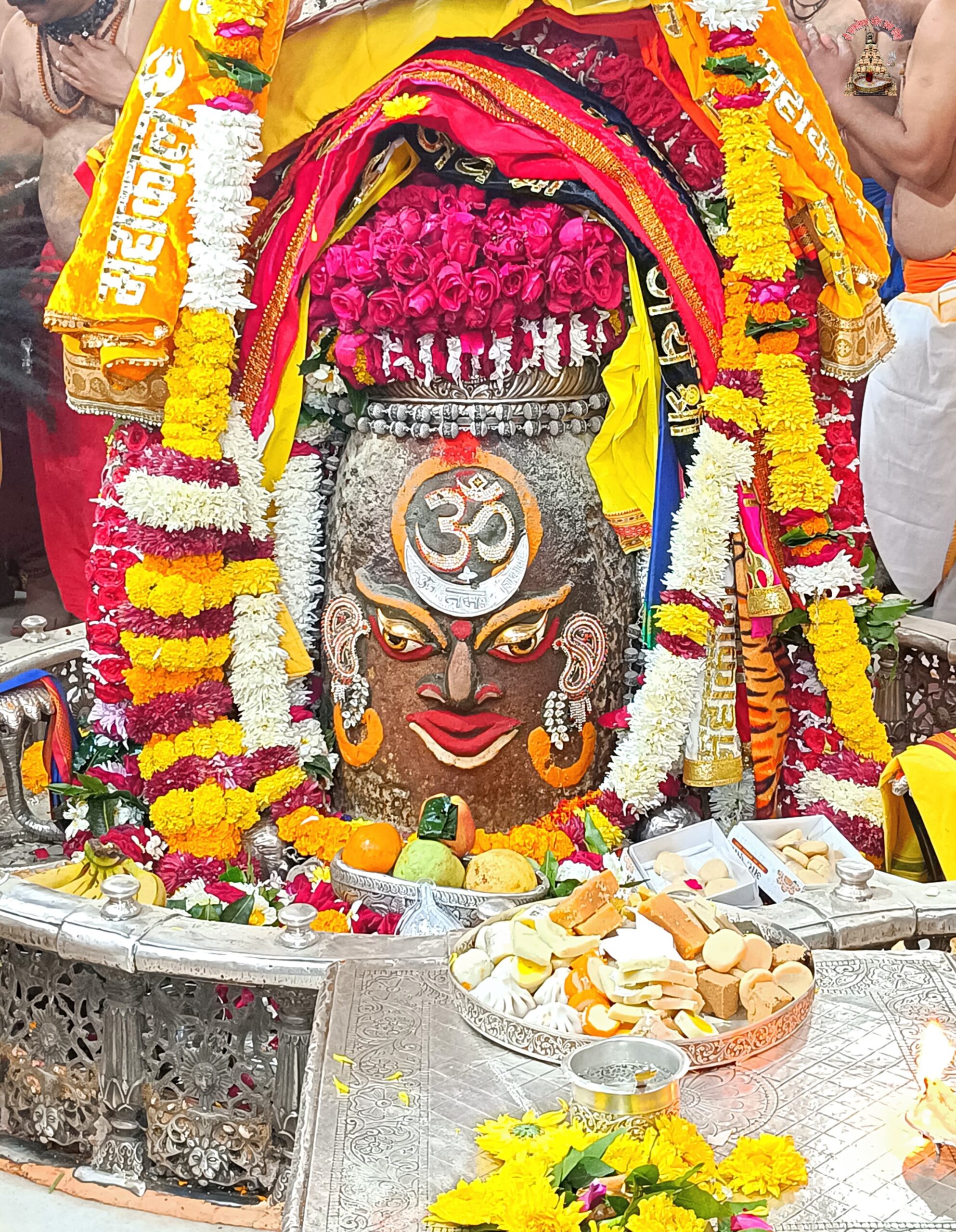 डेली महाकाल दर्शन
