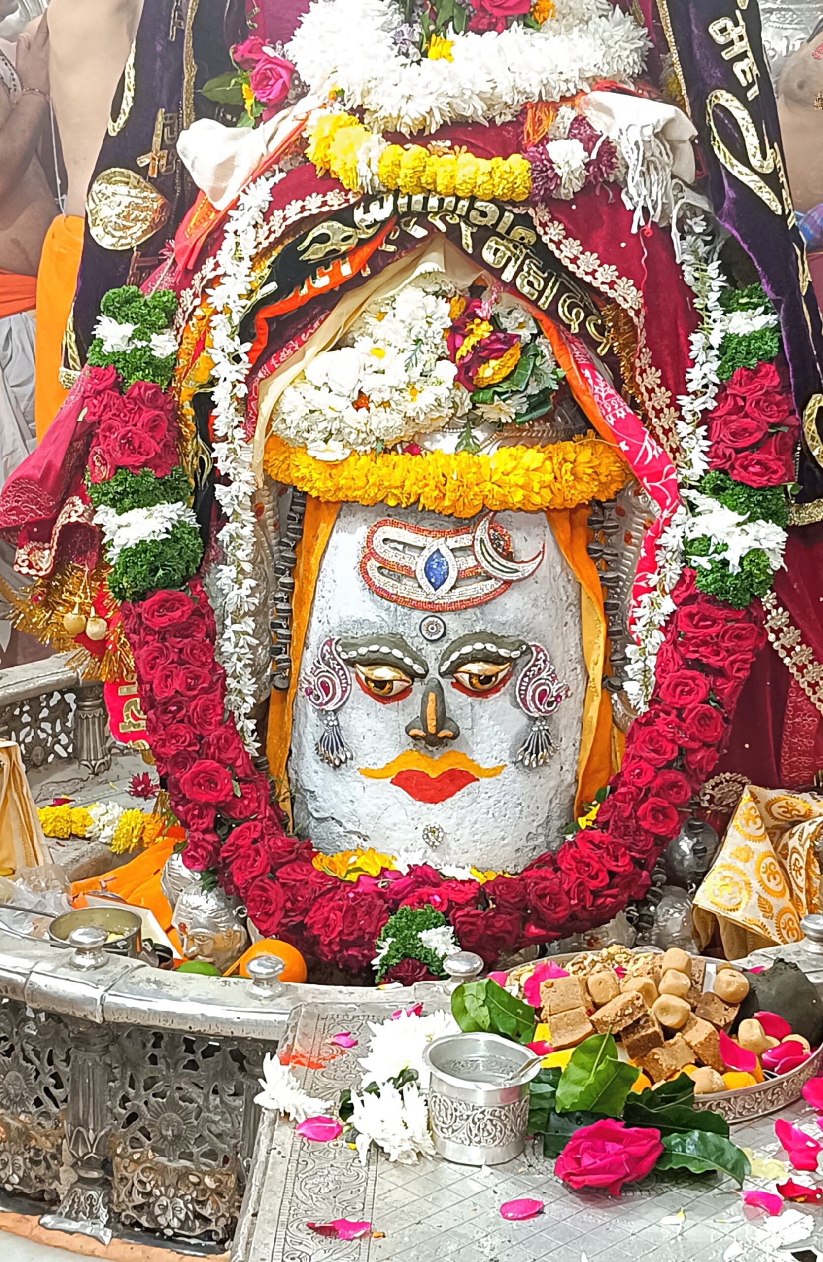 डेली महाकाल दर्शन