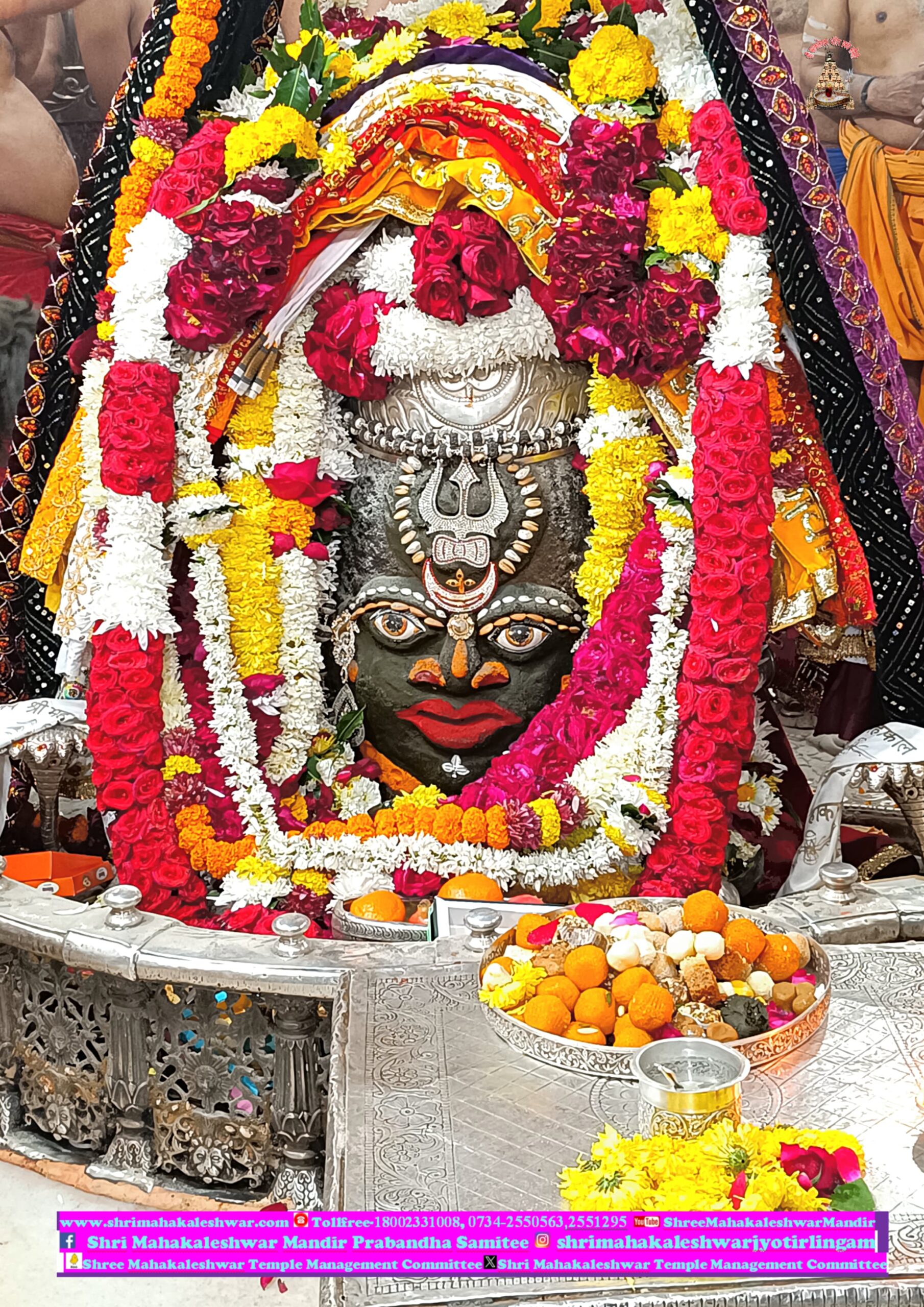 डेली महाकाल दर्शन