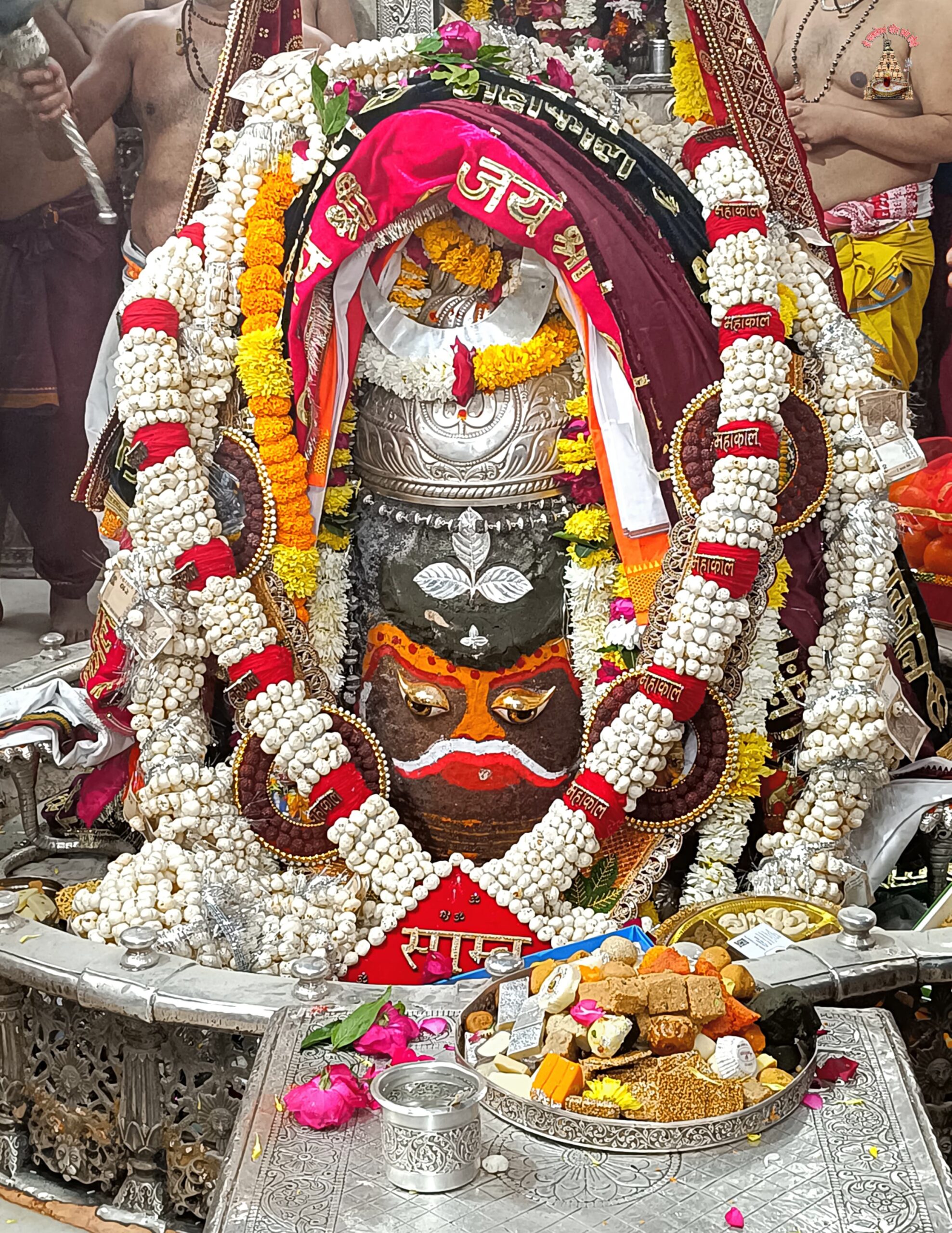 डेली महाकाल दर्शन