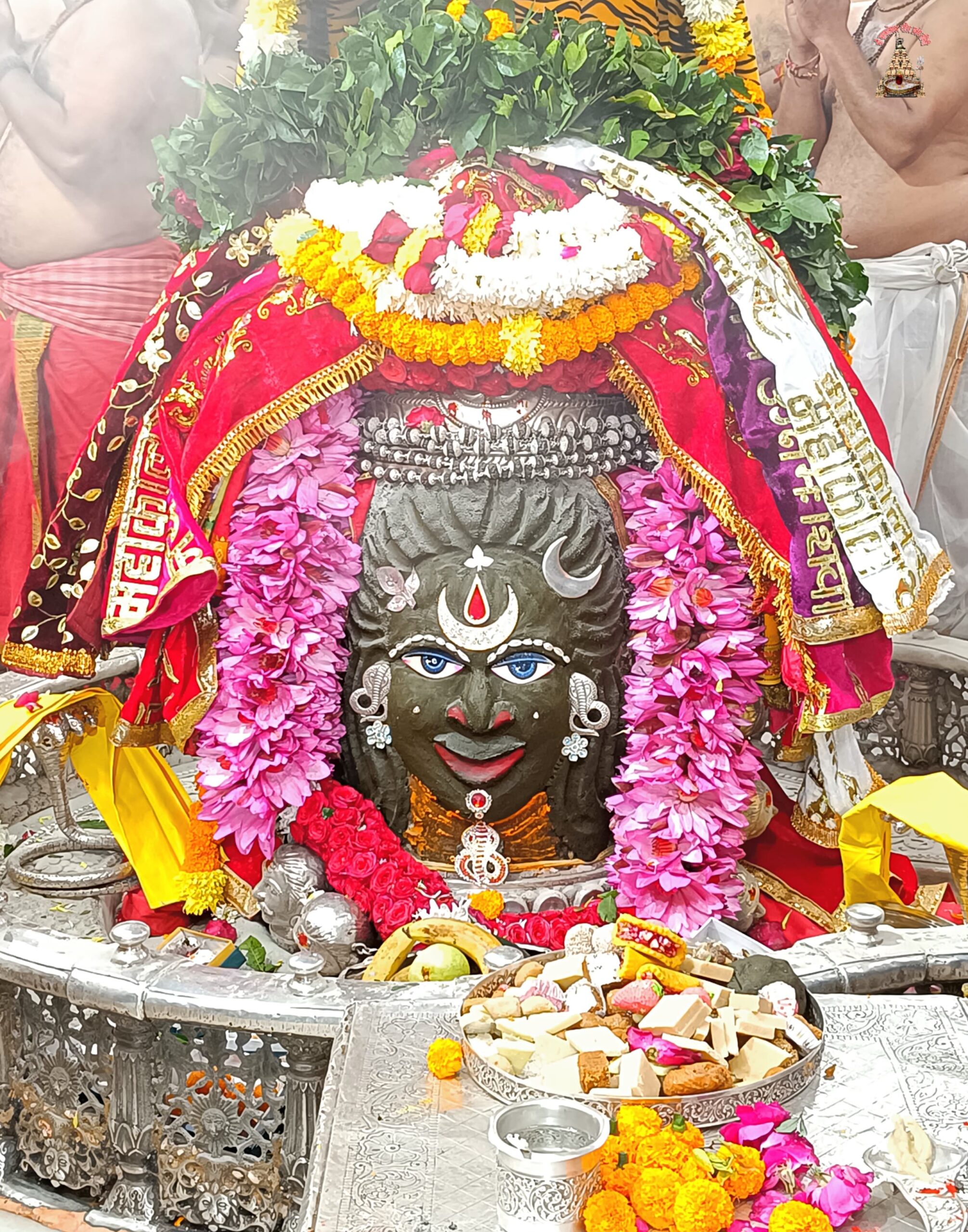 डेली महाकाल दर्शन