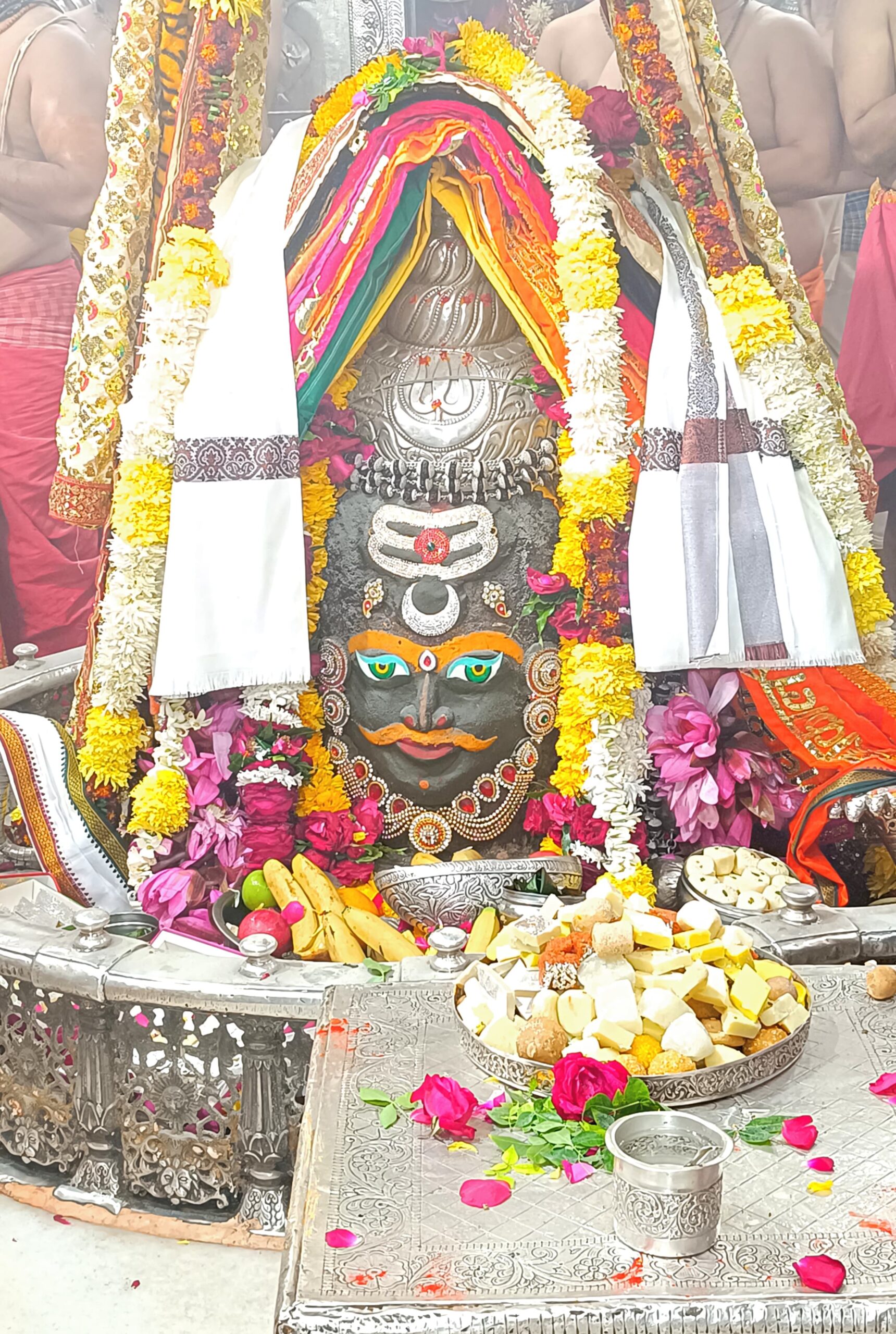 डेली महाकाल दर्शन