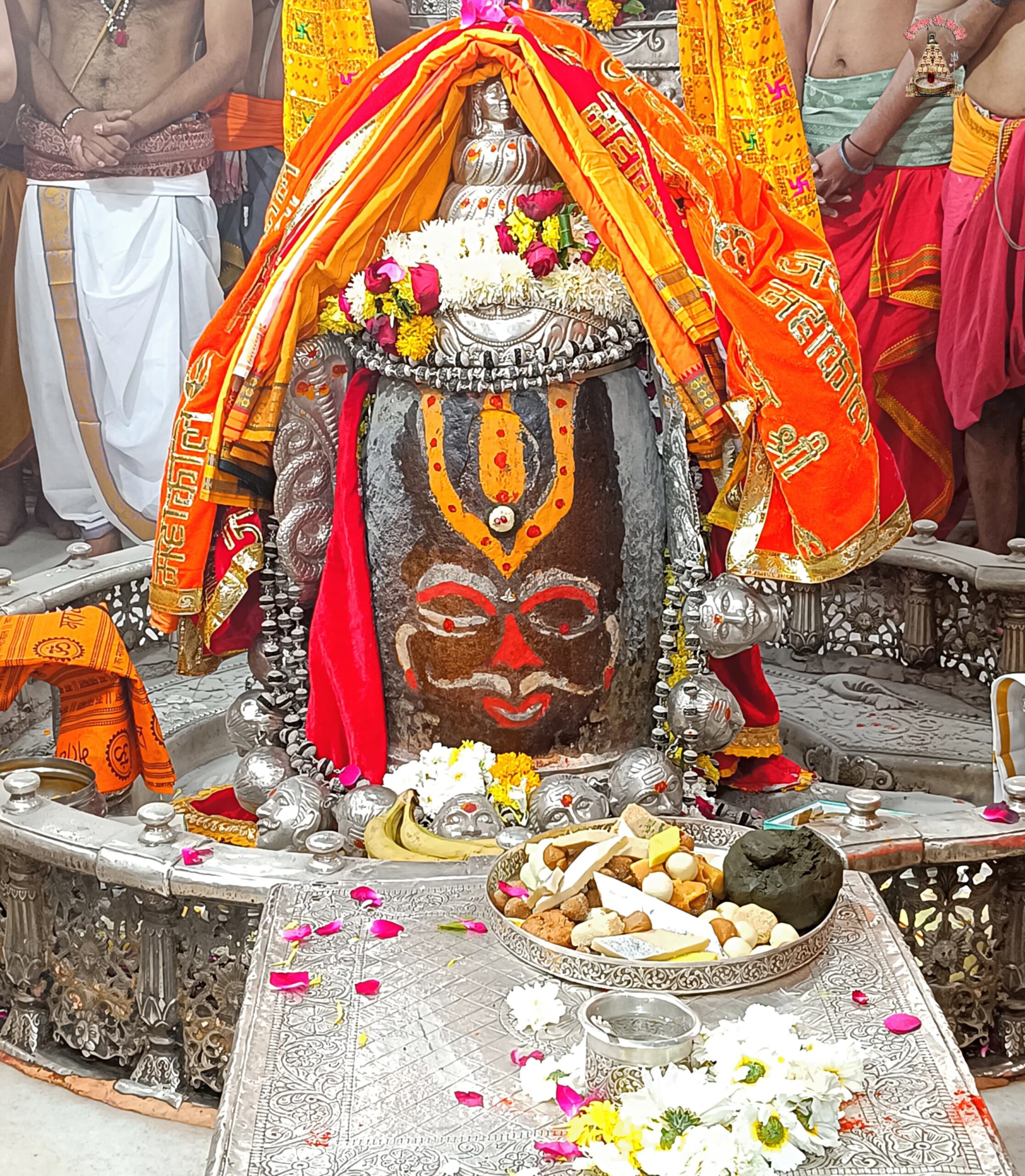 डेली महाकाल दर्शन 22-1-25