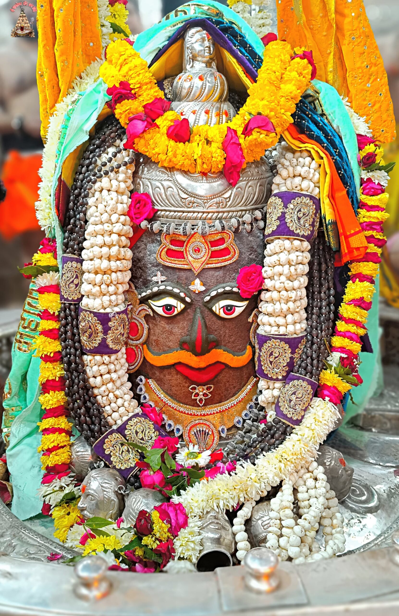 डेली महाकाल दर्शन