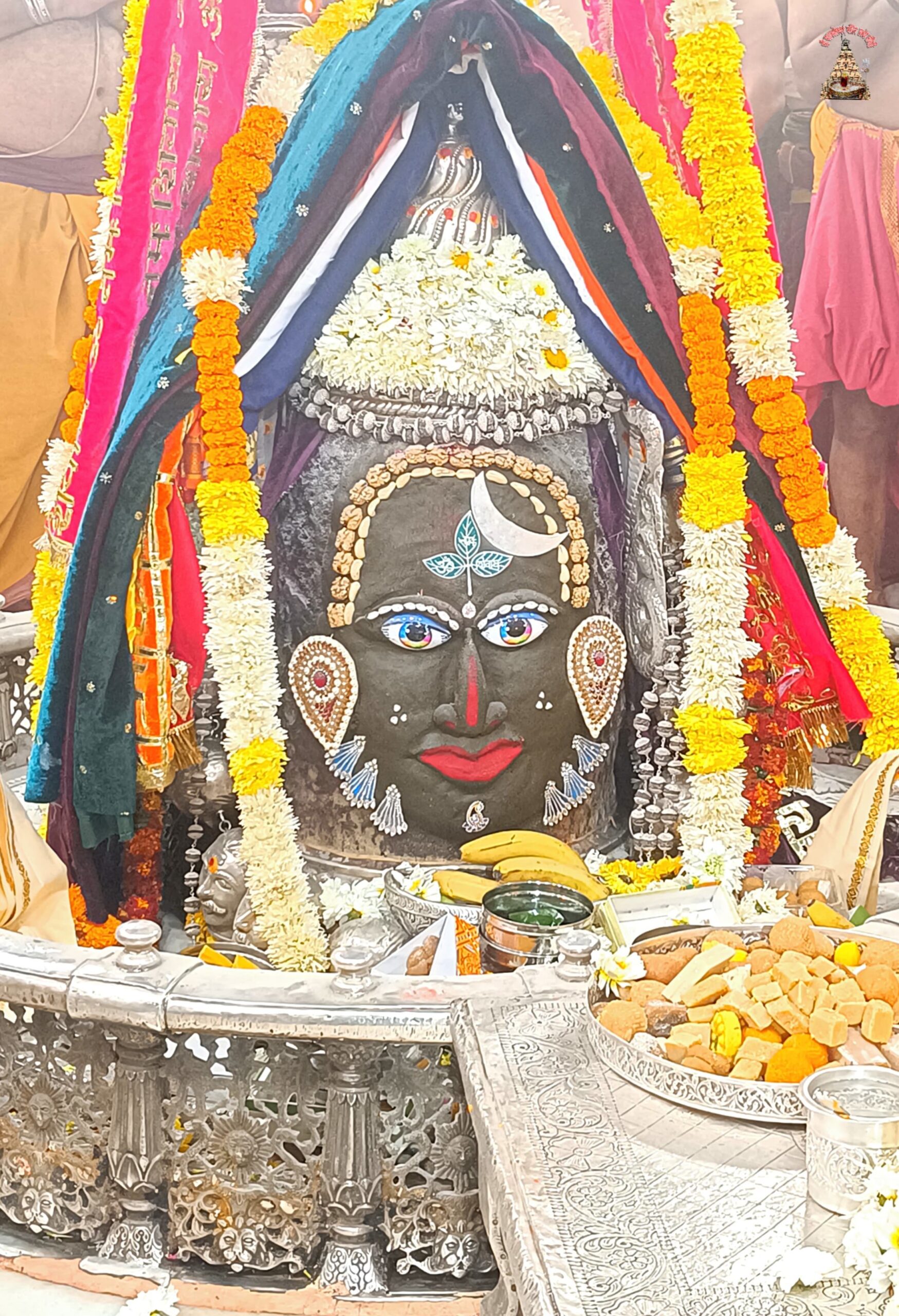 डेली महाकाल दर्शन 24-1-25