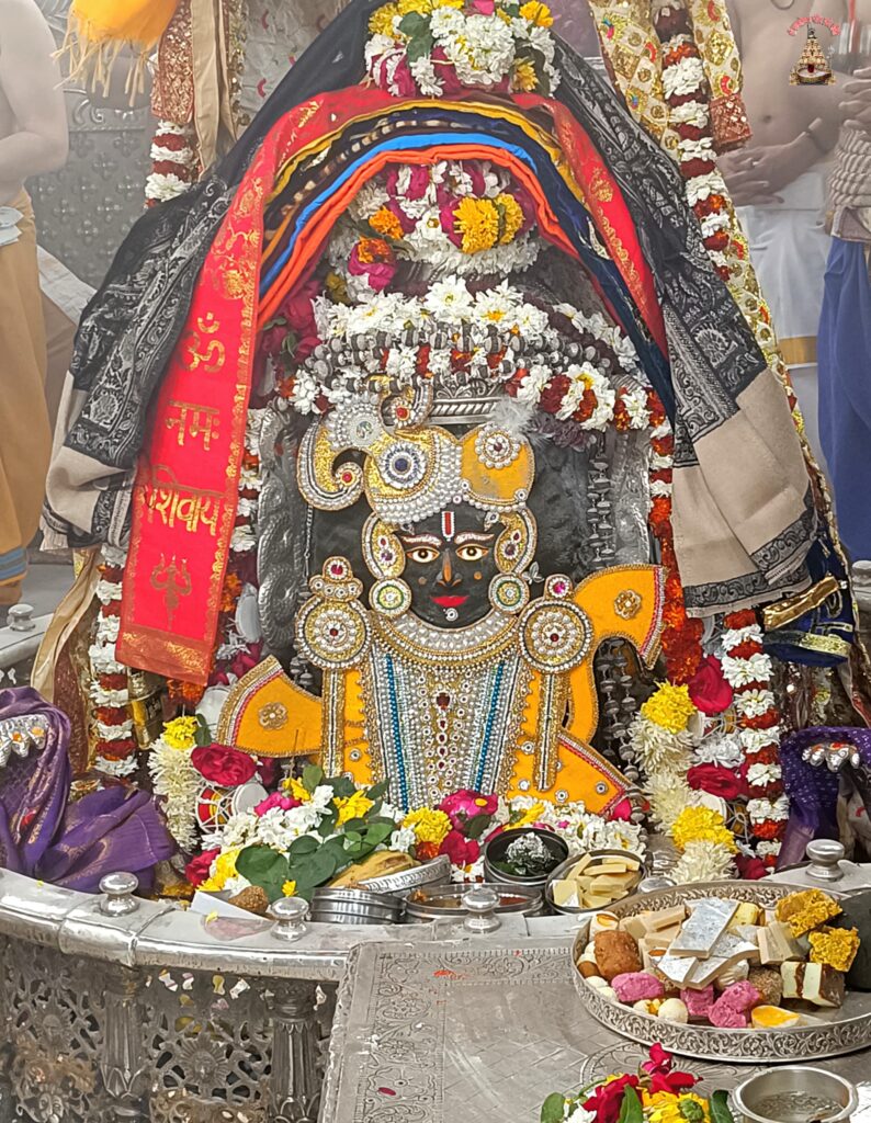 डेली महाकाल दर्शन