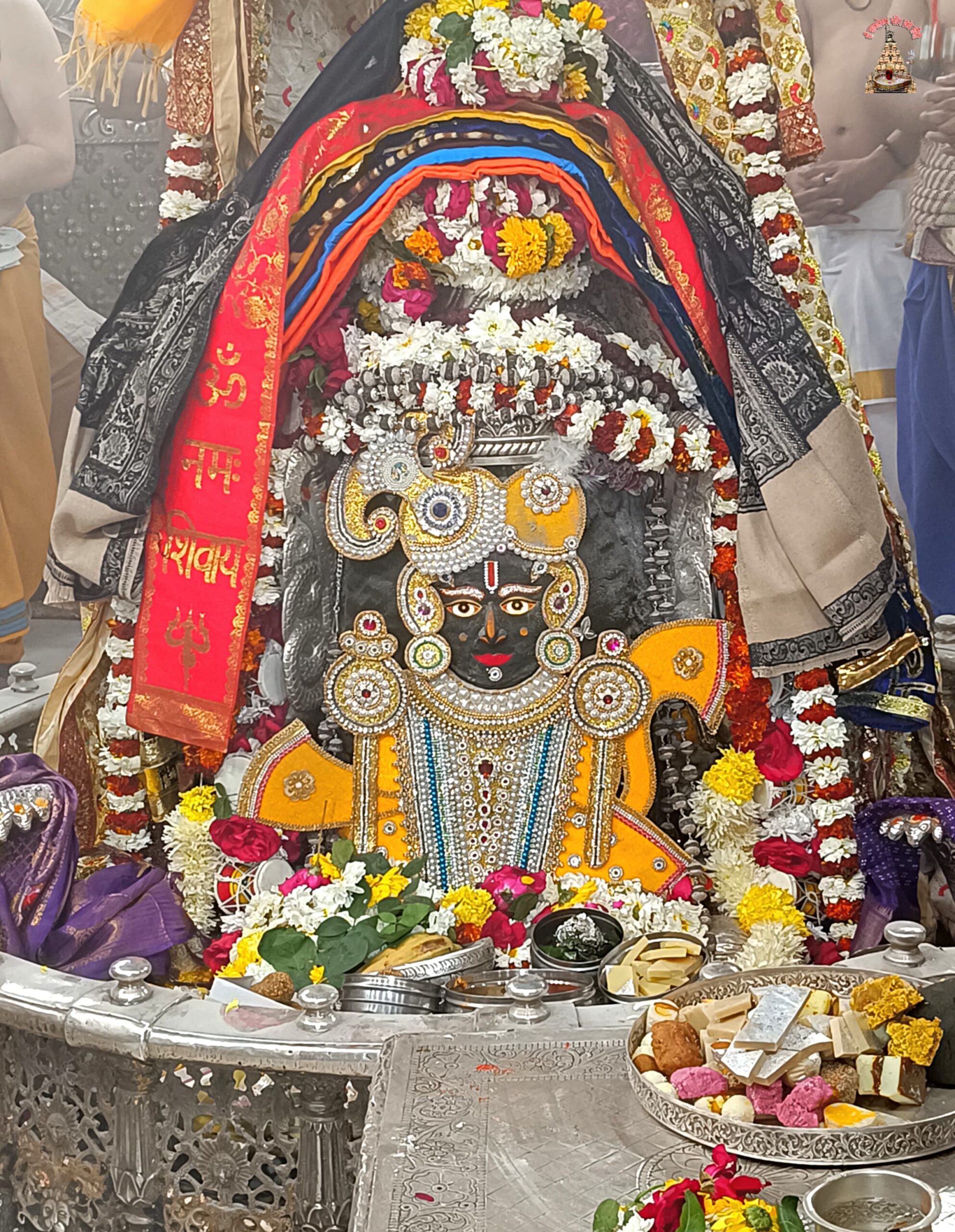 डेली महाकाल दर्शन