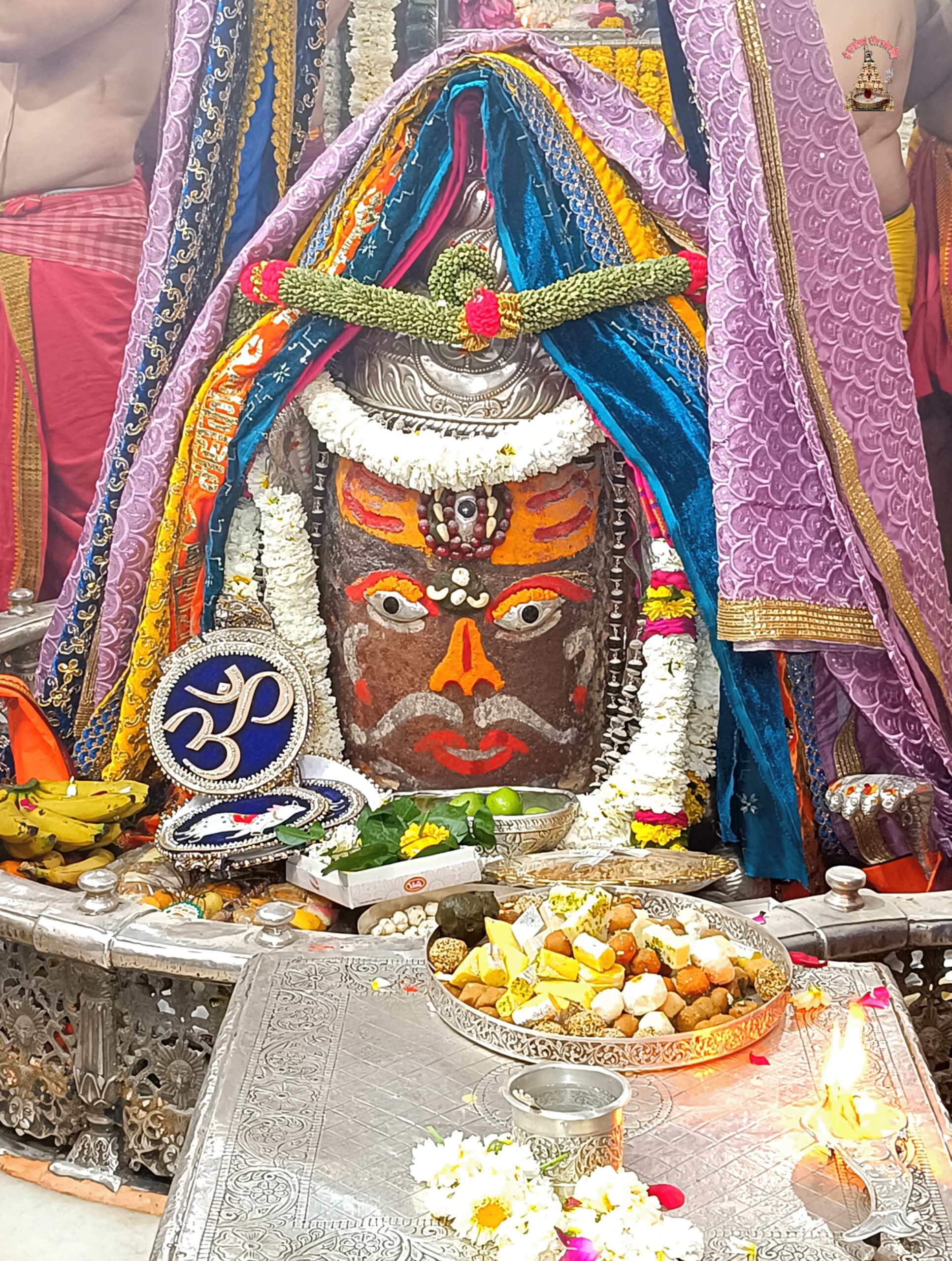 डेली महाकाल दर्शन
