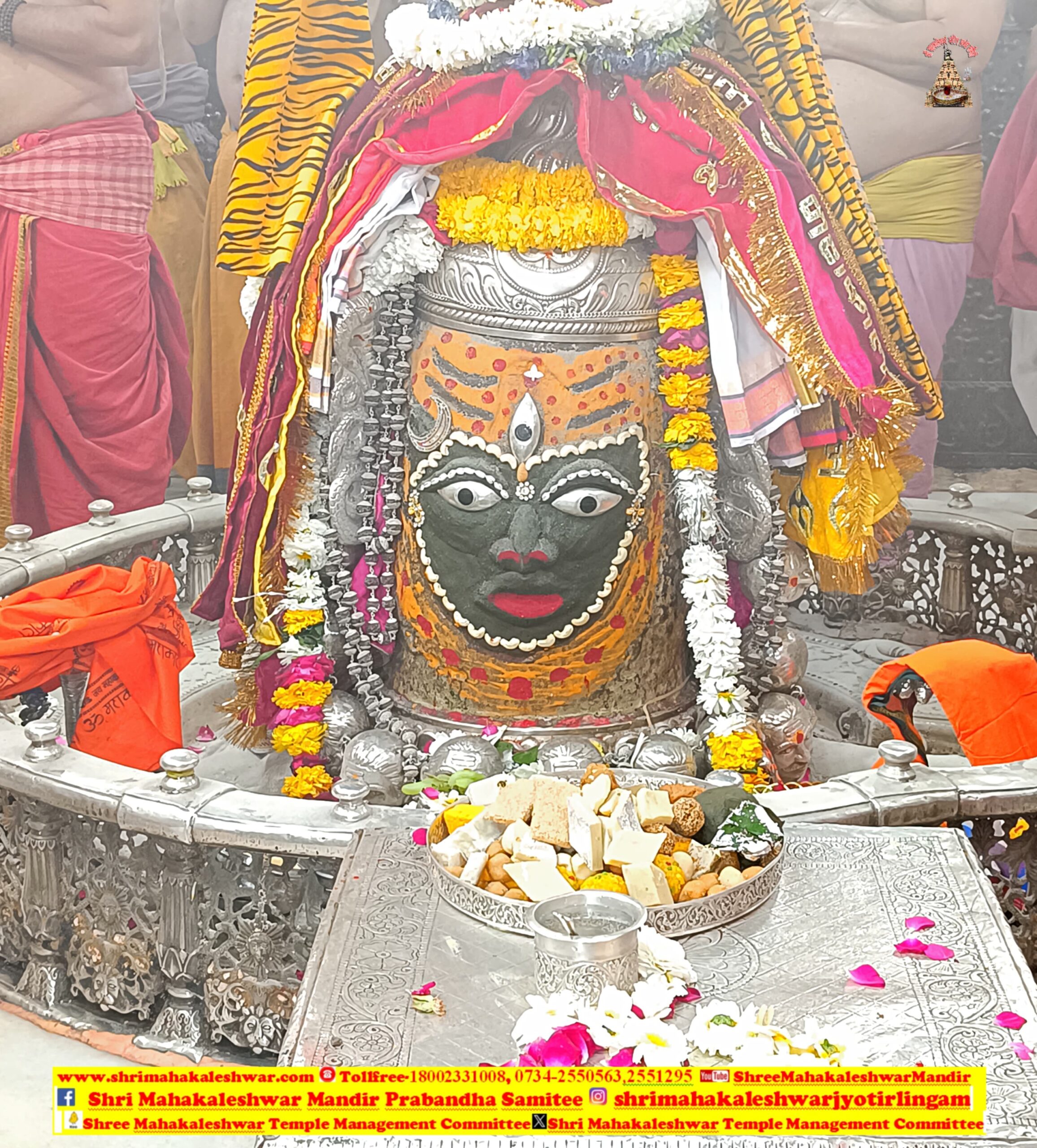 डेली महाकाल दर्शन