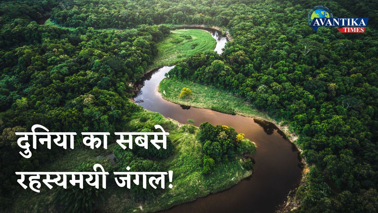Mystery of amazon forest