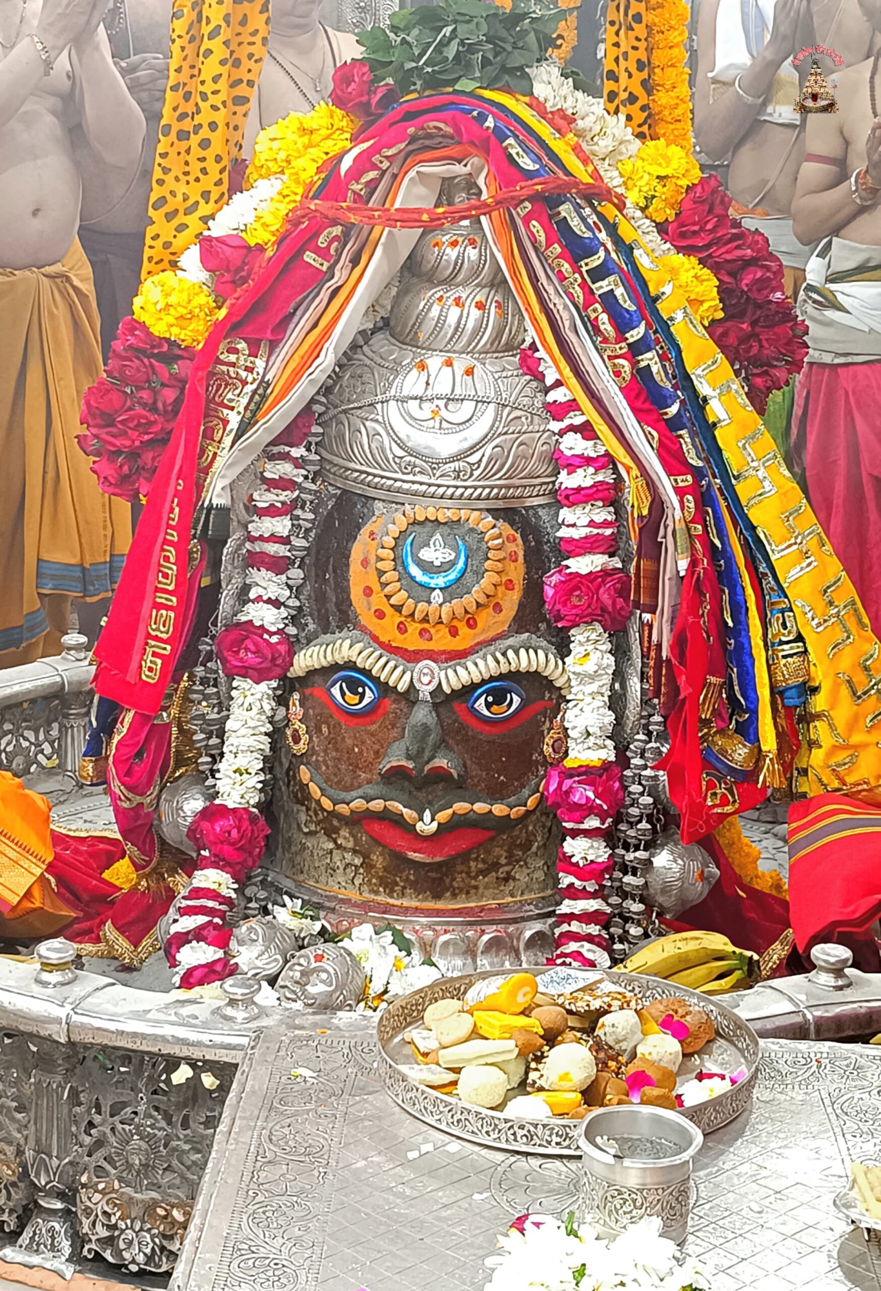 डेली महाकाल दर्शन