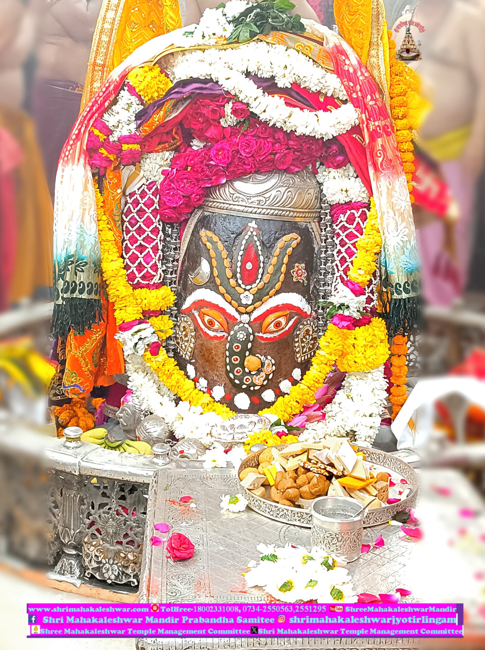डेली महाकाल दर्शन
