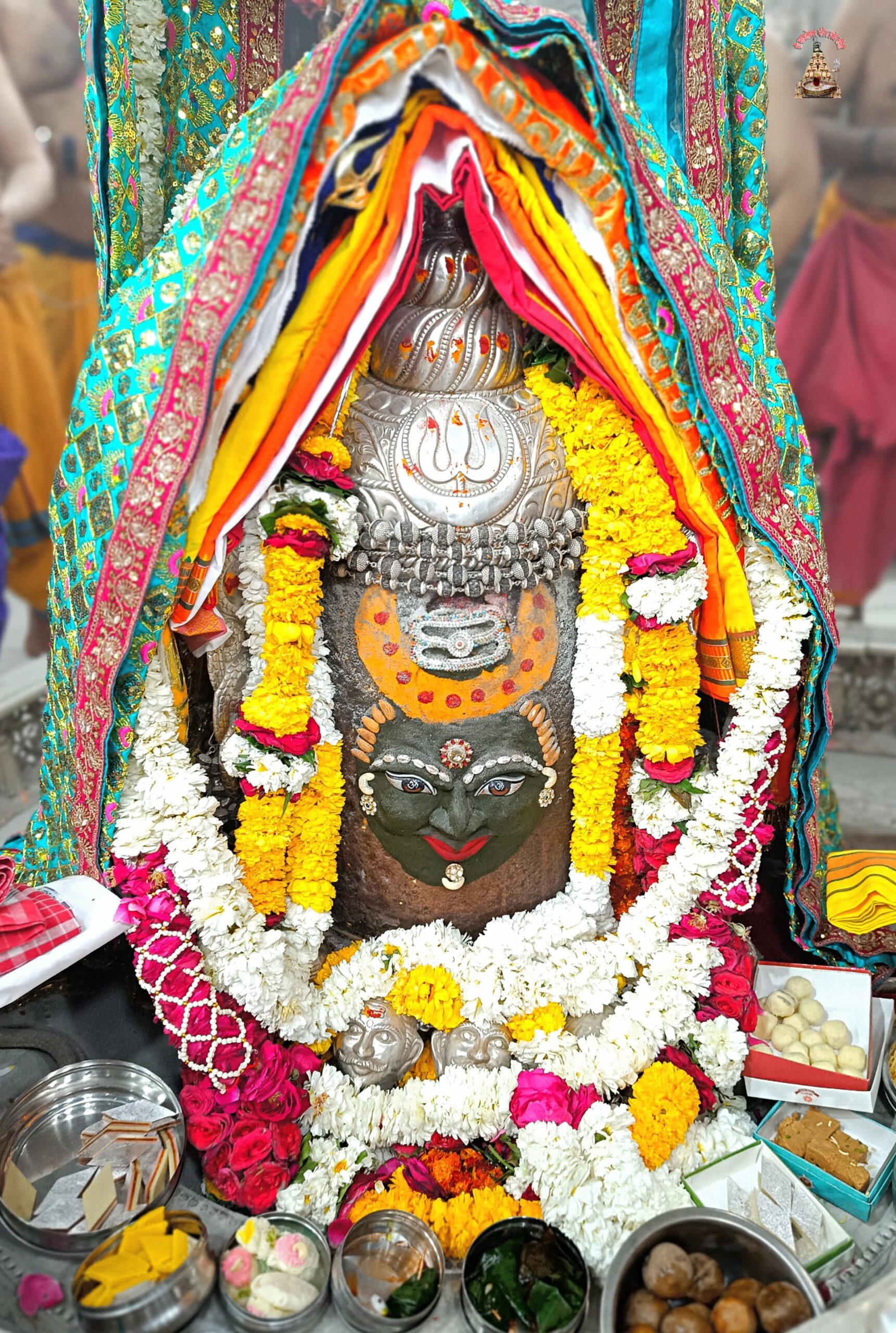 डेली महाकाल दर्शन