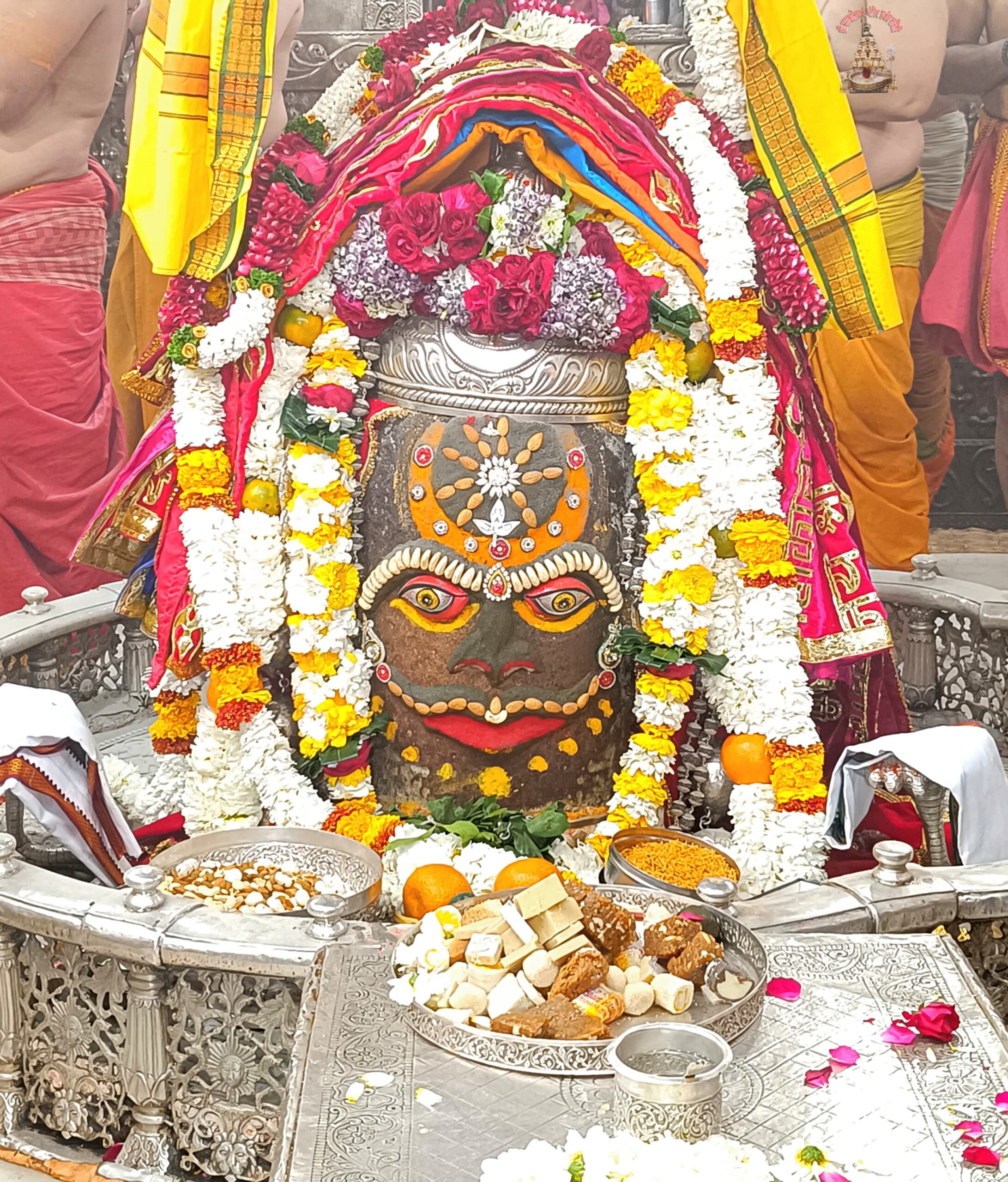 डेली महाकाल दर्शन