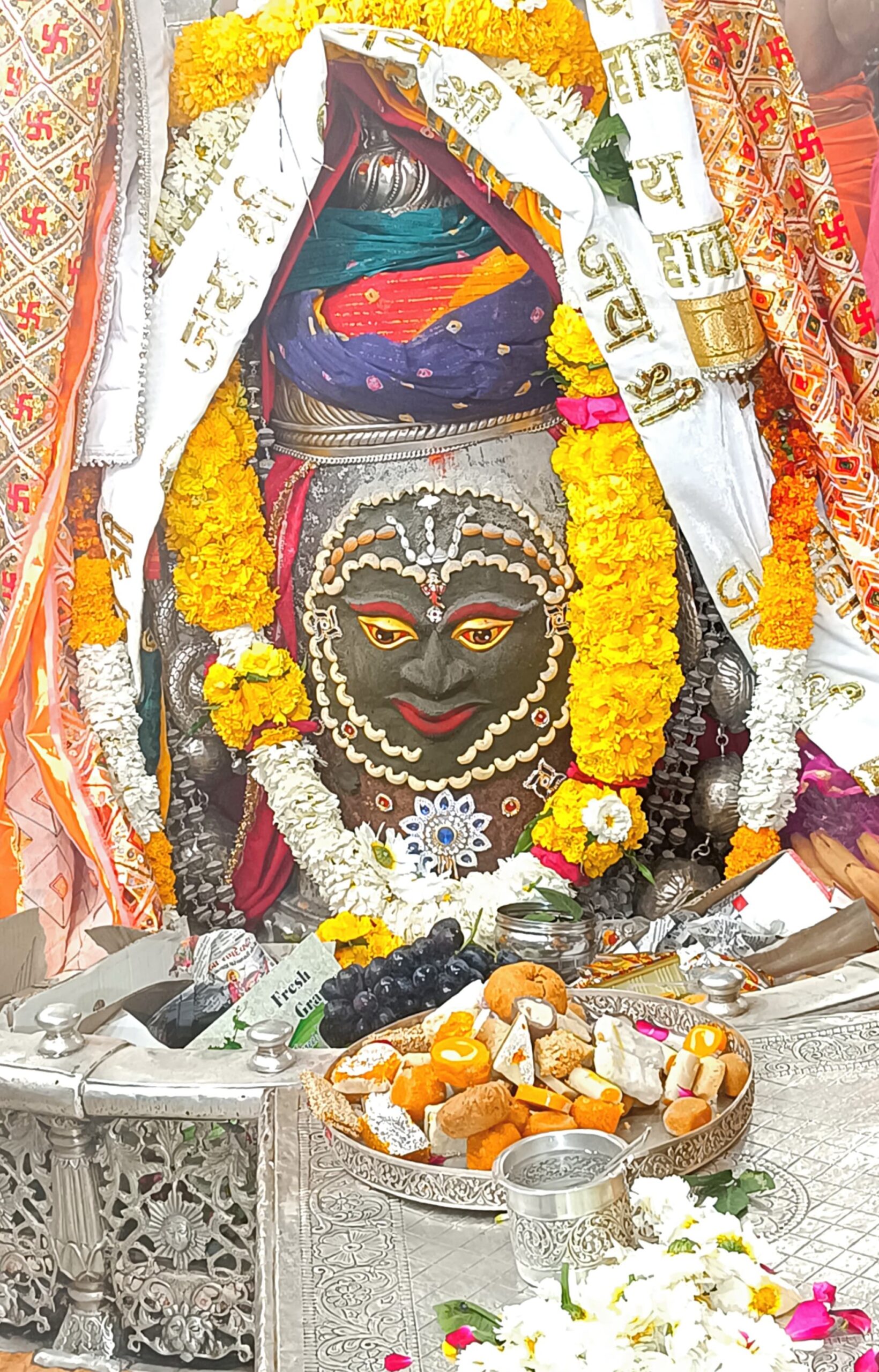 डेली महाकाल दर्शन