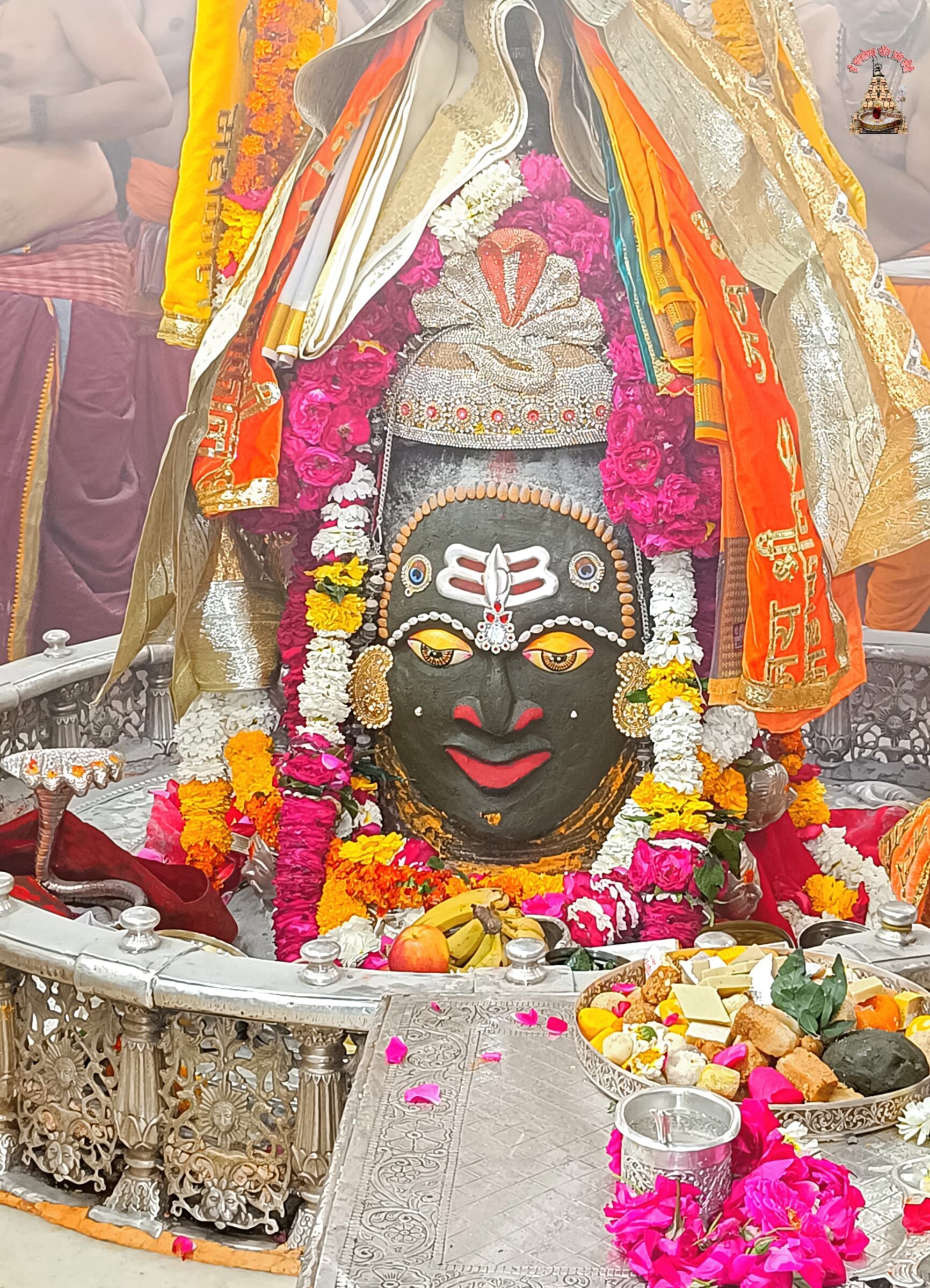 डेली महाकाल दर्शन