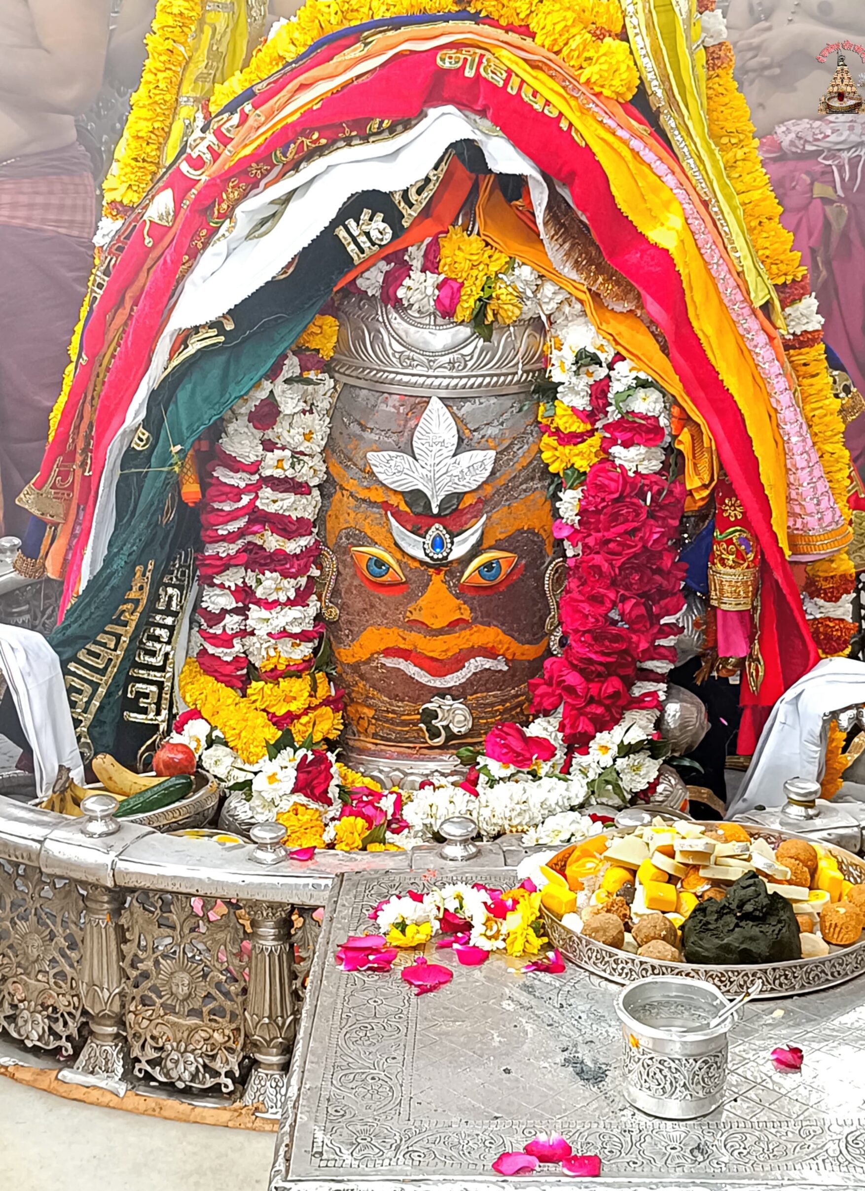 डेली महाकाल दर्शन