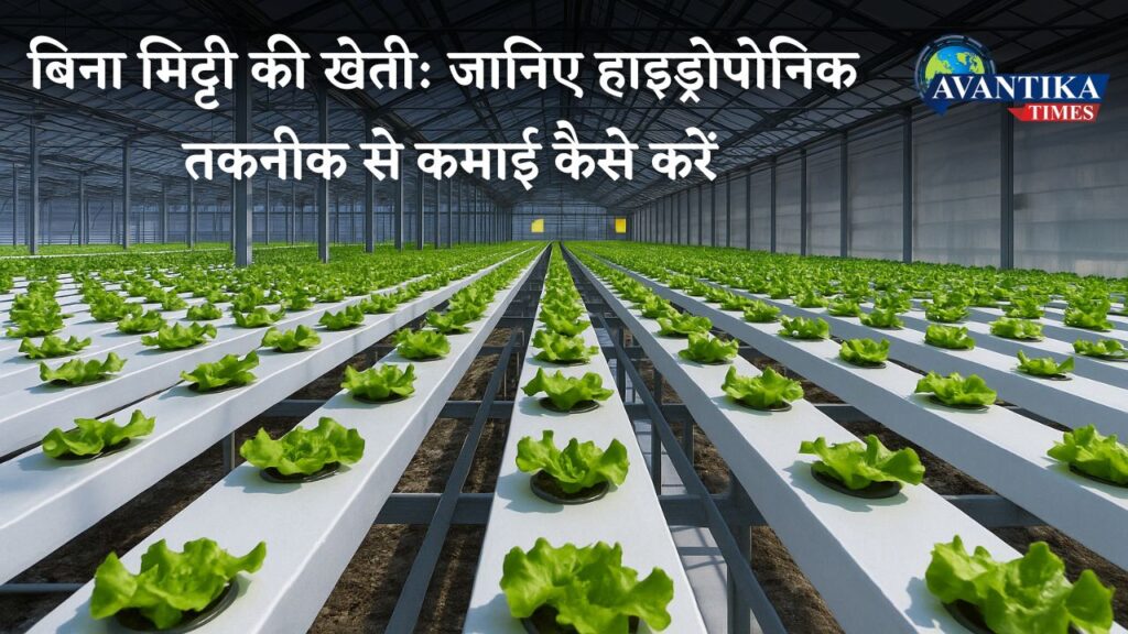 Hydroponic farming