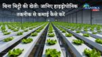 Hydroponic farming