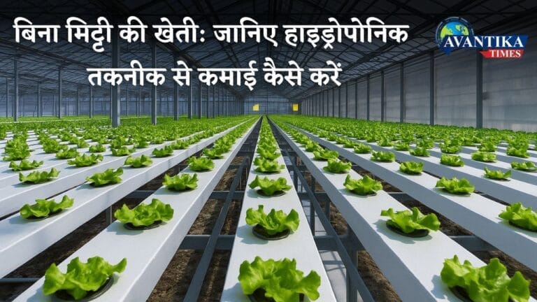 Hydroponic farming