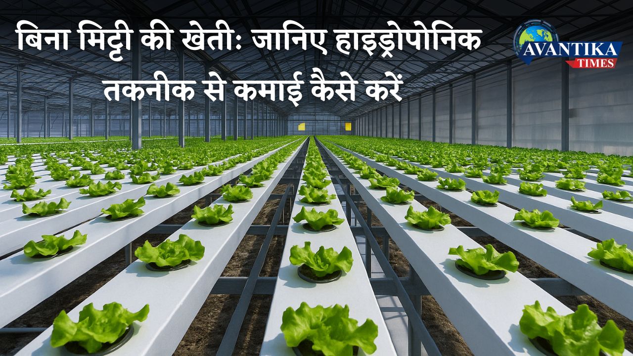 Hydroponic farming