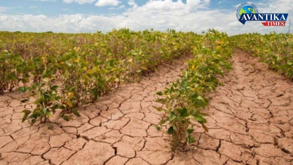 Impact of Climate Change on Agriculture
