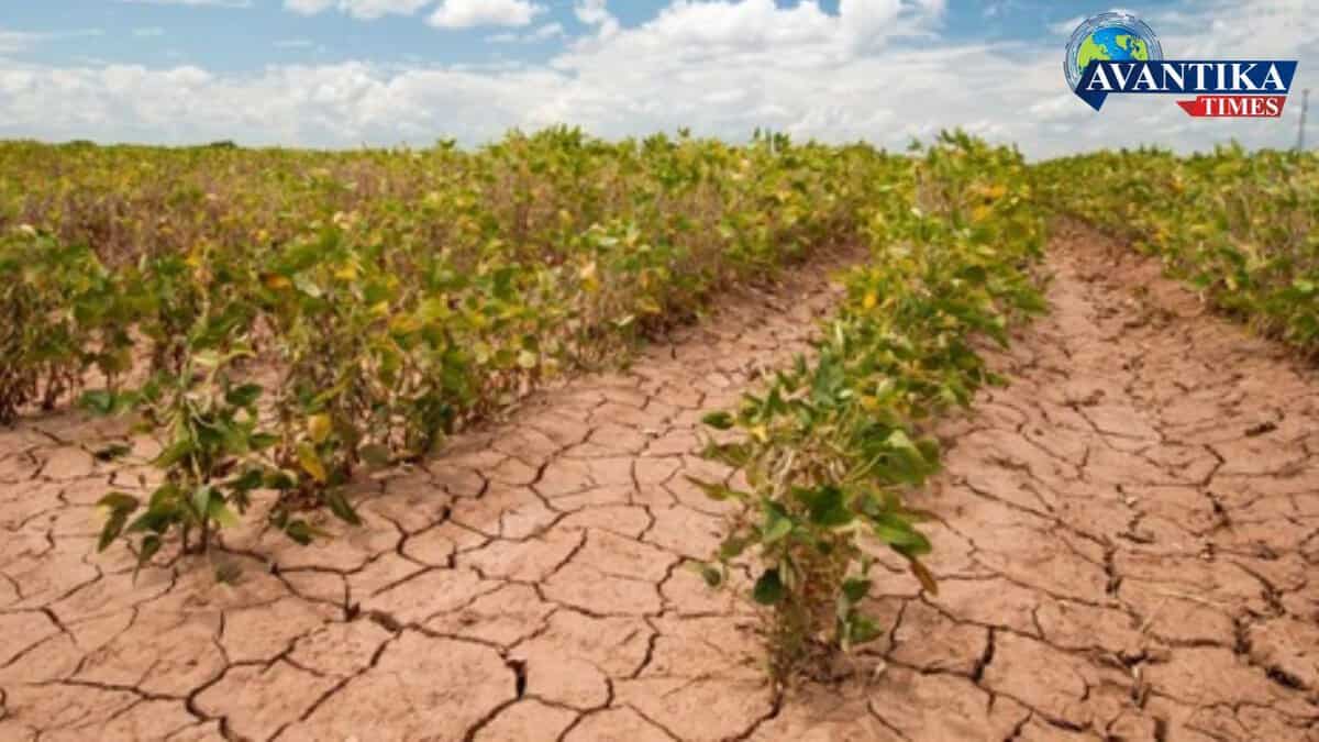 Impact of Climate Change on Agriculture