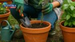 Organic Vegetables and Fruits Farming