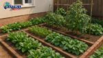 vegetable farming in home