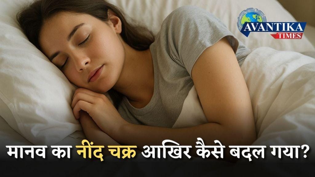 नींद चक्र