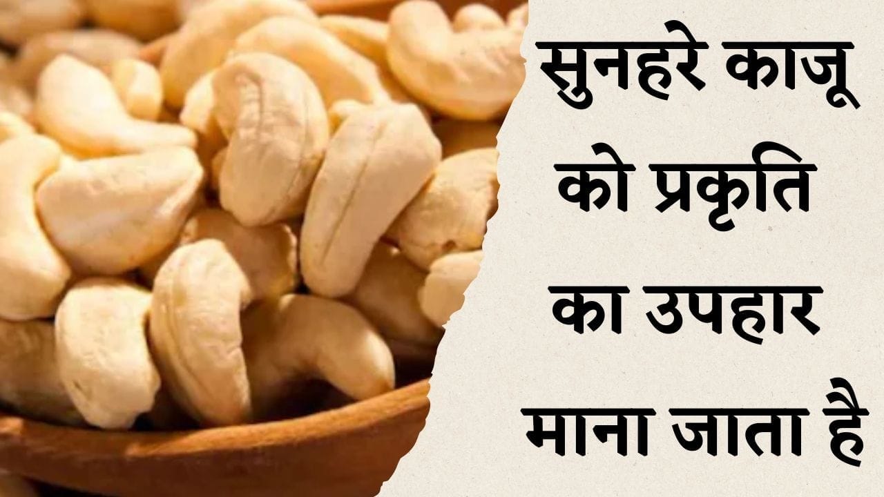 सुनहरे काजू