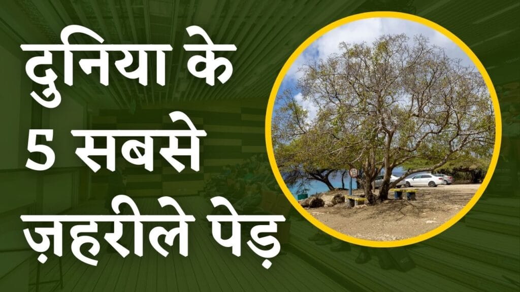 Most Poisonous Trees
