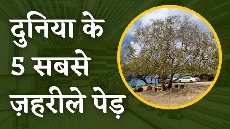 Most Poisonous Trees