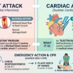 Heart Attack vs Cardiac Arrest