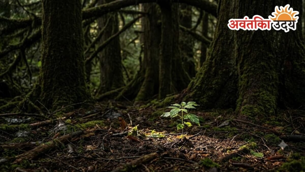 Life Lessons from Nature