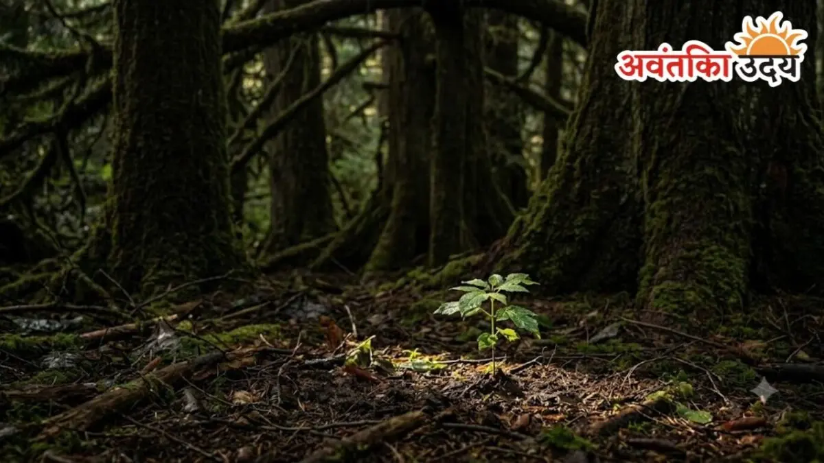 Life Lessons from Nature